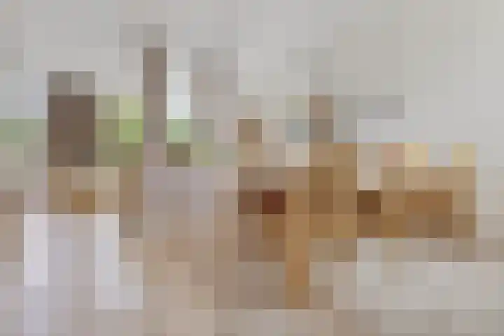 Rietbaan 53 Huissen thumbnail 4