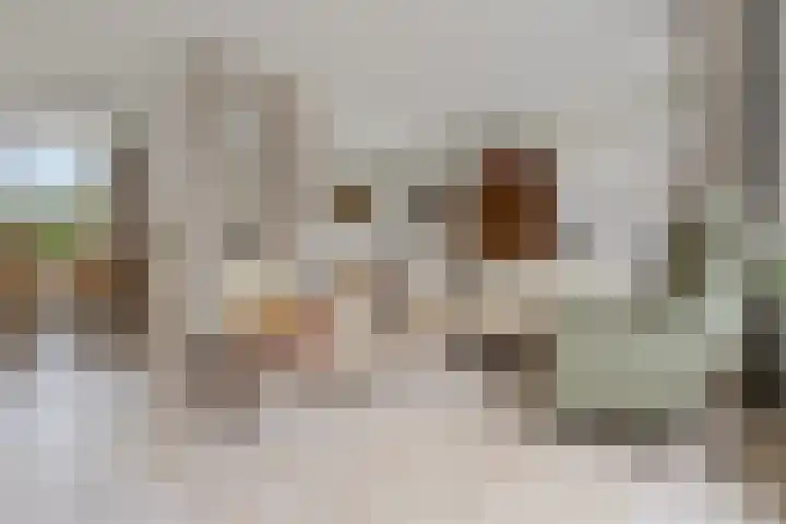 Rietbaan 53 Huissen thumbnail 5
