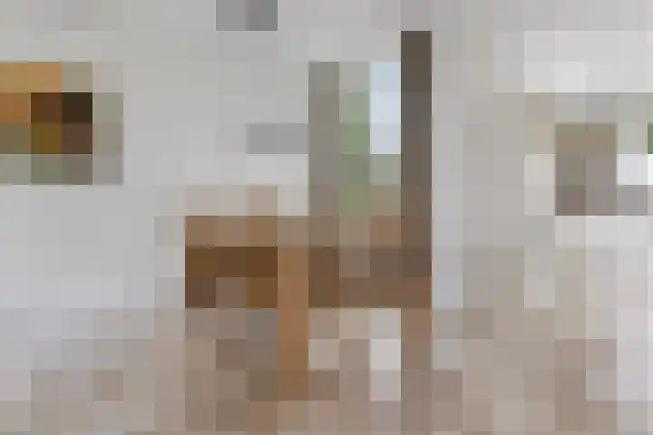 Rietbaan 53 Huissen thumbnail 6