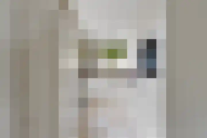 Rietbaan 53 Huissen thumbnail 7