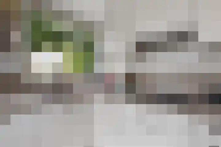 Rietbaan 53 Huissen thumbnail 8