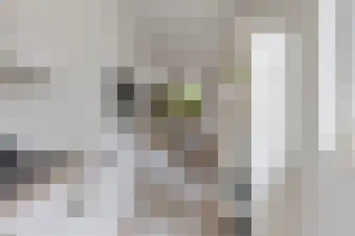 Rietbaan 53 Huissen thumbnail 9