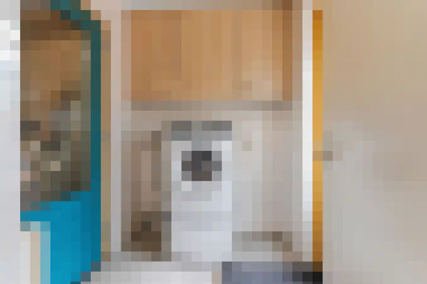 Rietbaan 72 Huissen thumbnail 11