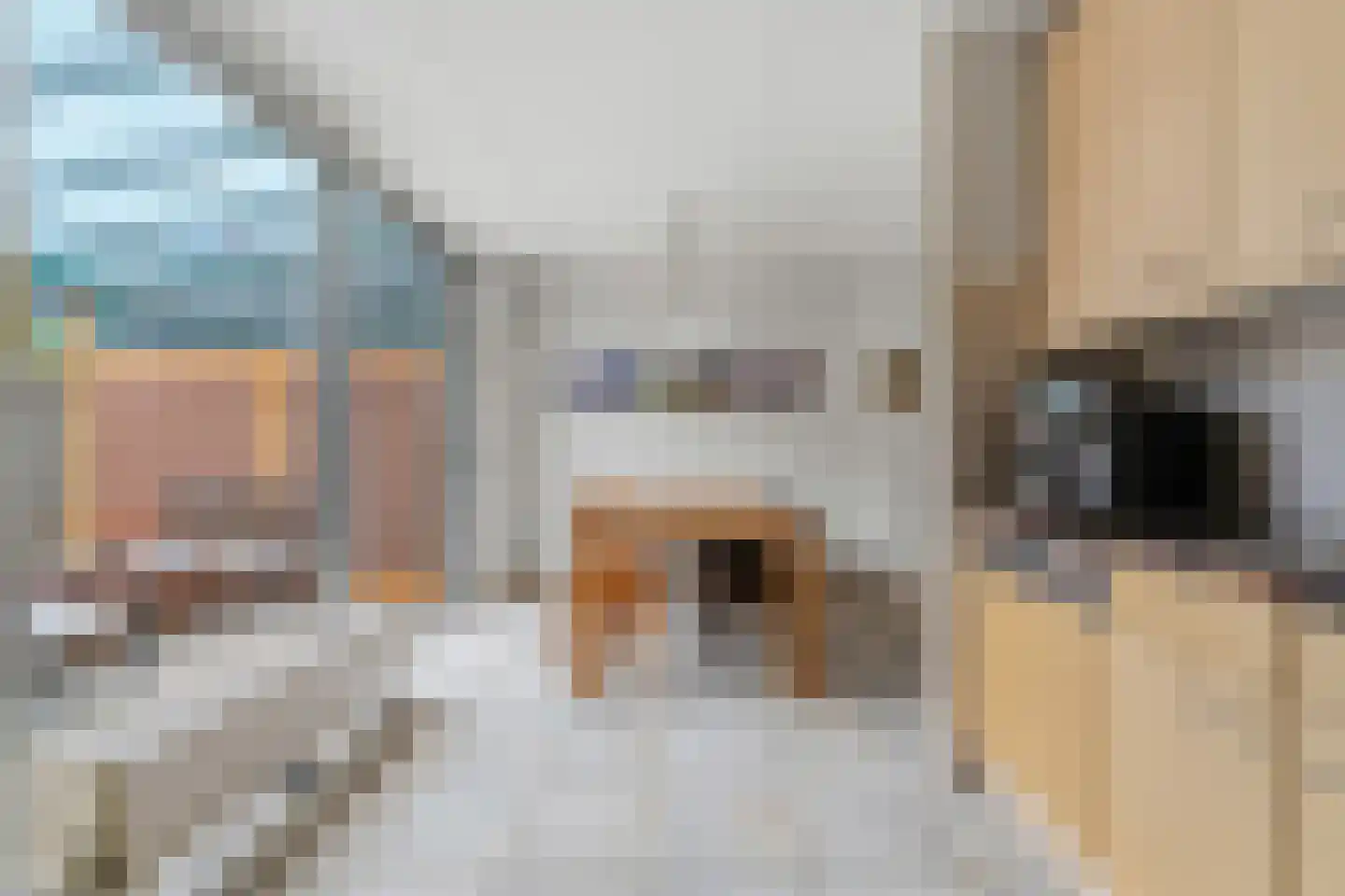 Rietbaan 72 Huissen thumbnail 13