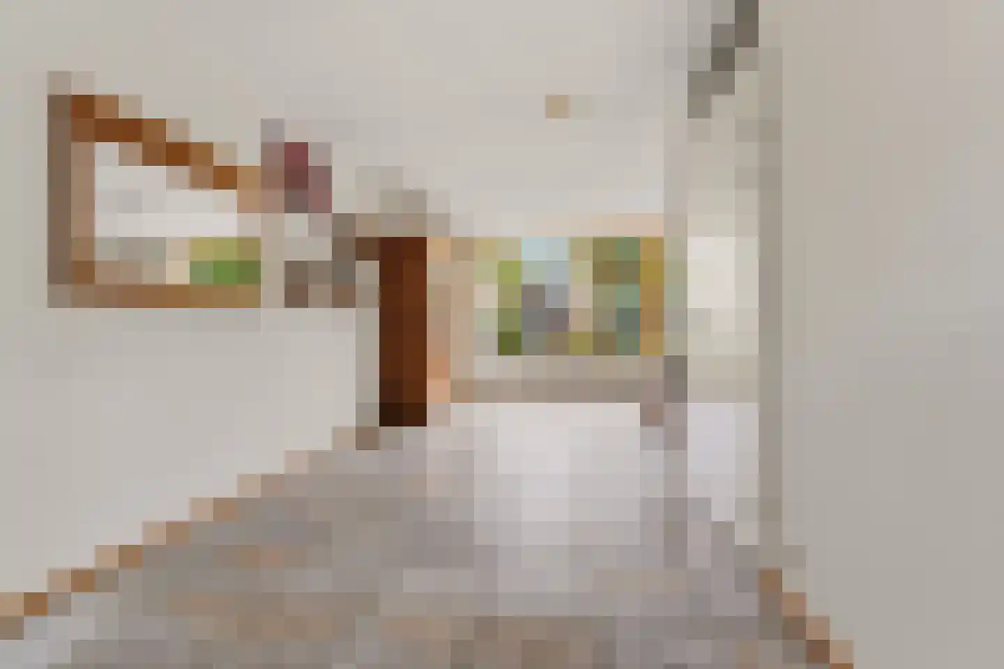 Rietbaan 72 Huissen thumbnail 15