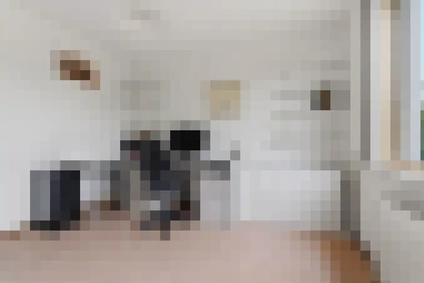 Rietbaan 72 Huissen thumbnail 21