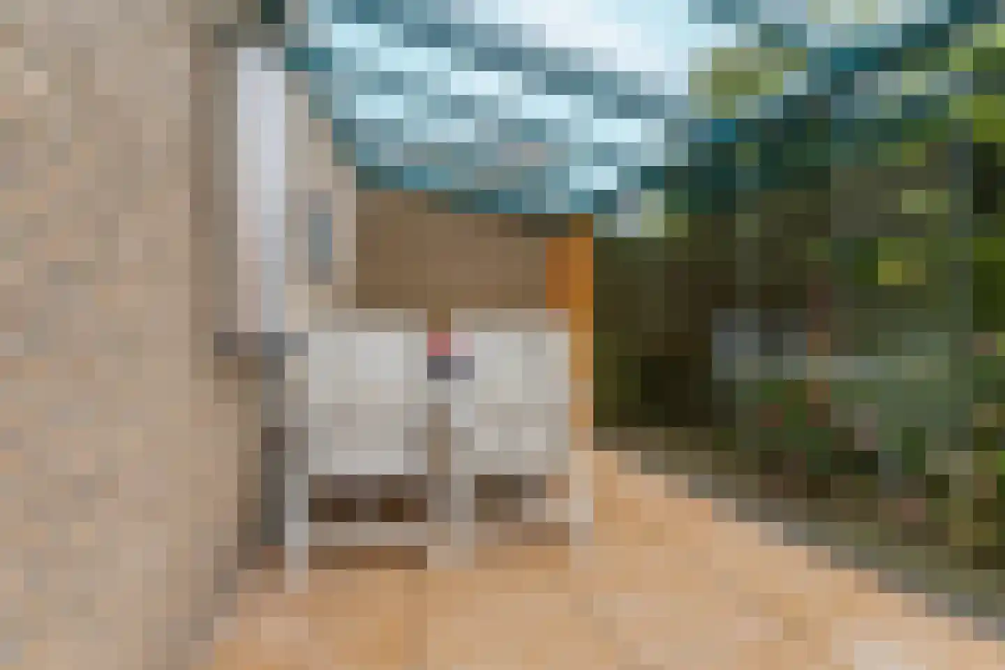 Rietbaan 72 Huissen thumbnail 36