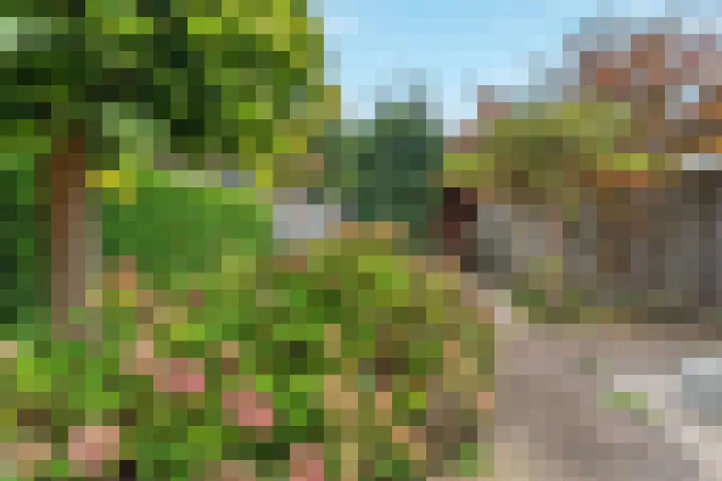 Rietbaan 72 Huissen thumbnail 39