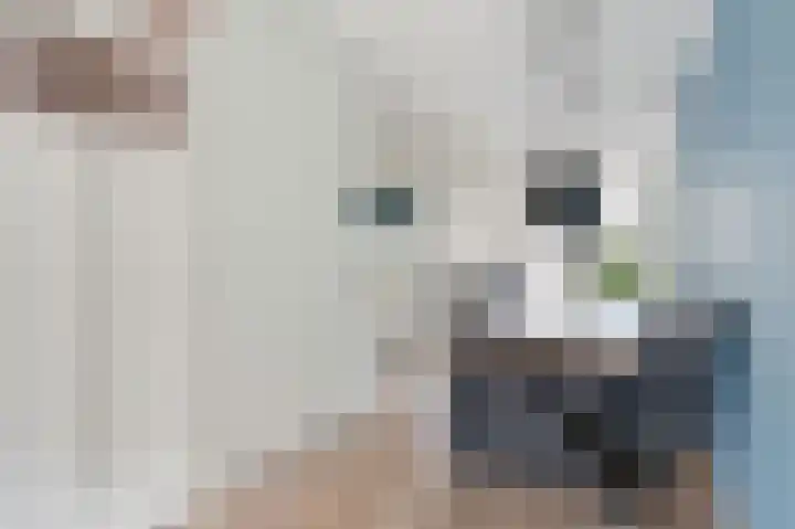 Rietbeek 18 Zwartsluis thumbnail 13