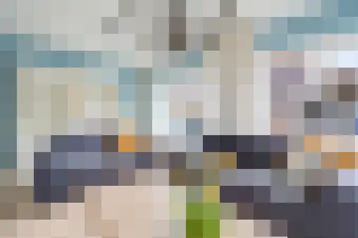 Rietbeek 18 Zwartsluis thumbnail 14