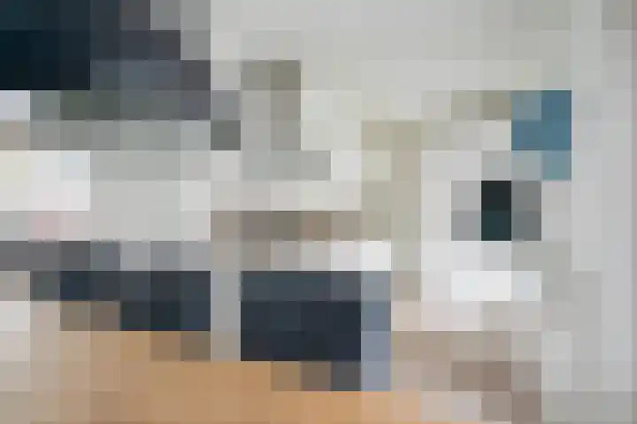 Rietbeek 18 Zwartsluis thumbnail 15