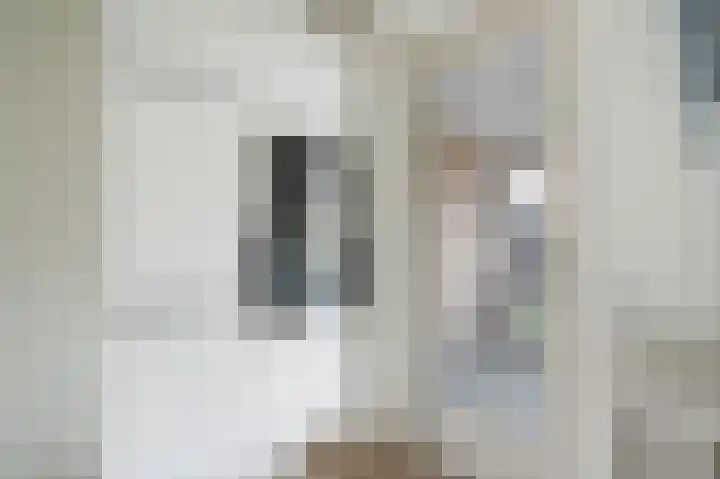 Rietbeek 18 Zwartsluis thumbnail 17