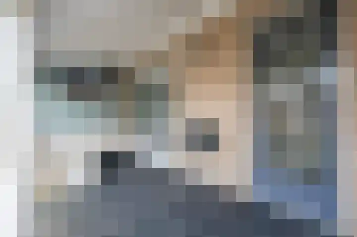 Rietbeek 18 Zwartsluis thumbnail 19