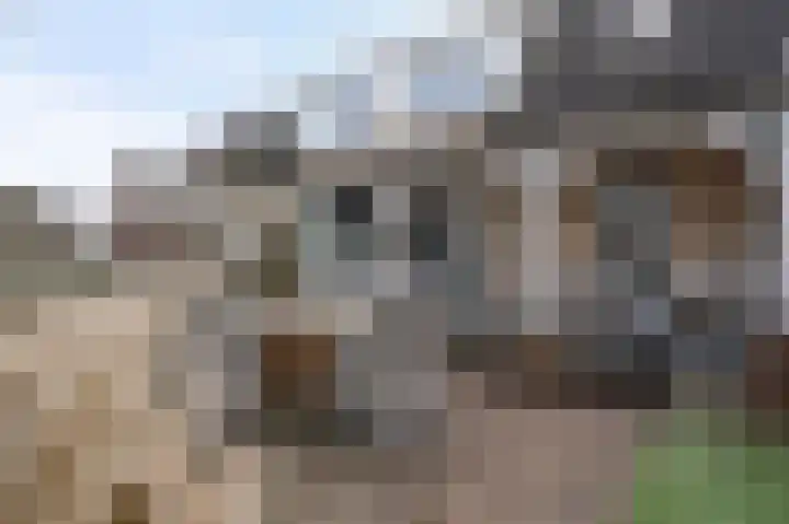 Rietbeek 18 Zwartsluis thumbnail 25