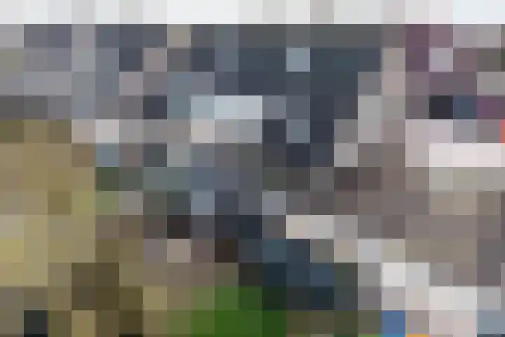 Rietbeek 18 Zwartsluis thumbnail 26