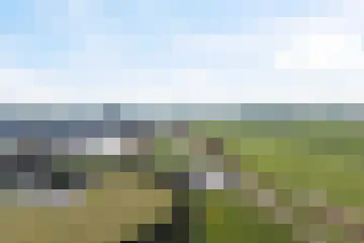 Rietbeek 18 Zwartsluis thumbnail 27