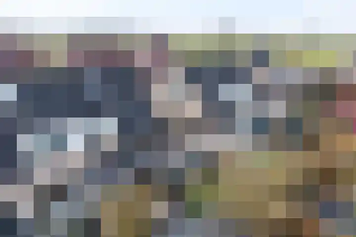 Rietbeek 18 Zwartsluis thumbnail 28