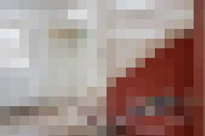 Rietbeek 18 Zwartsluis thumbnail 29