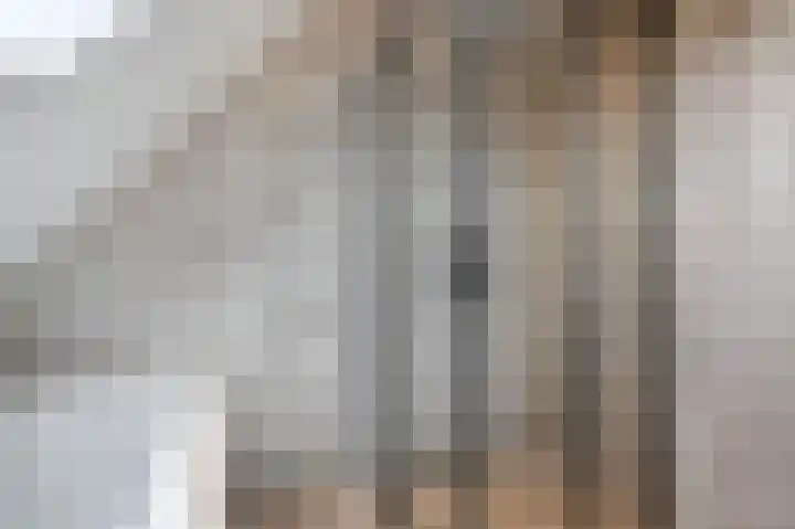 Rietbeek 18 Zwartsluis thumbnail 32