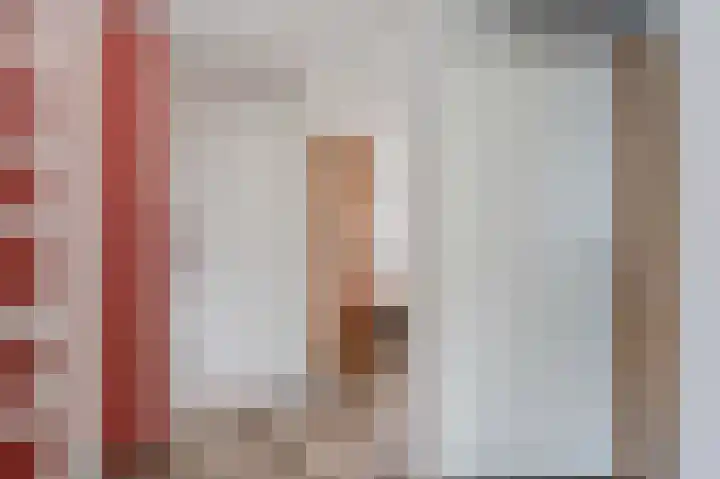 Rietbeek 18 Zwartsluis thumbnail 34