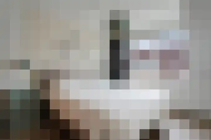 Rietbeek 18 Zwartsluis thumbnail 37