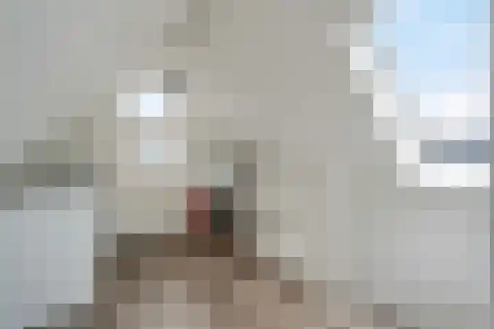 Rietbeek 18 Zwartsluis thumbnail 43