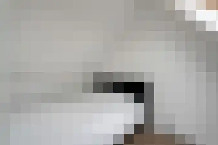 Rietbeek 18 Zwartsluis thumbnail 45