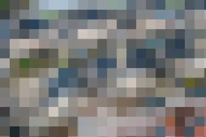 Rietbeek 18 Zwartsluis thumbnail 47