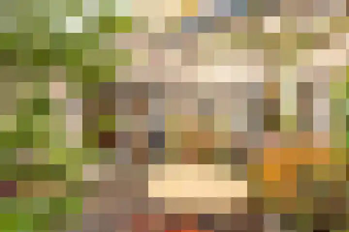 Rietbeek 3 Geleen thumbnail 33