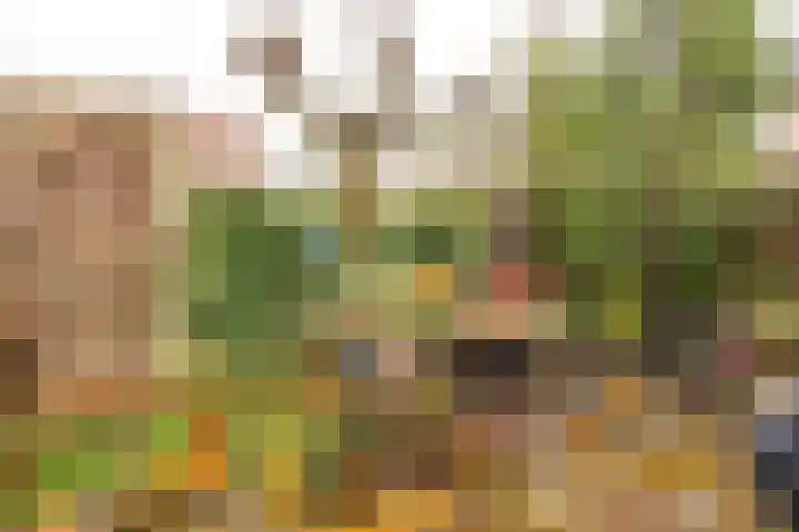 Rietbeek 3 Geleen thumbnail 34