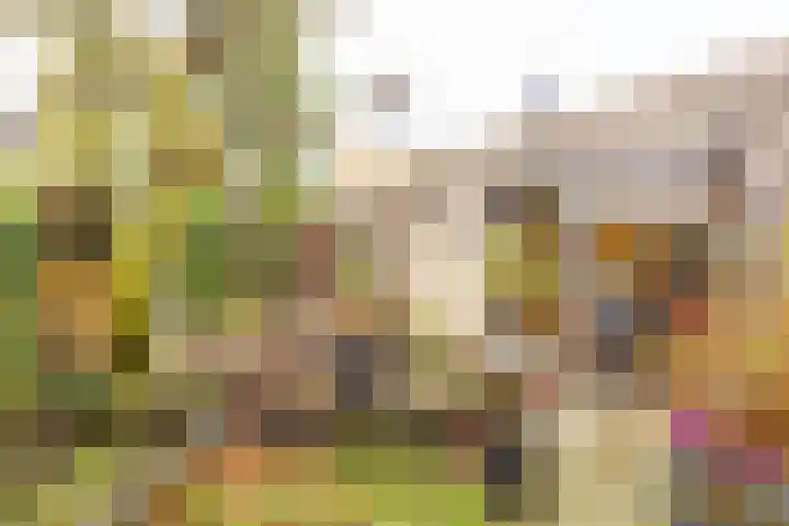 Rietbeek 3 Geleen thumbnail 35