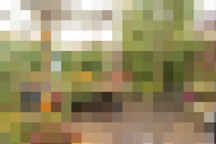 Rietbeek 3 Geleen thumbnail 36