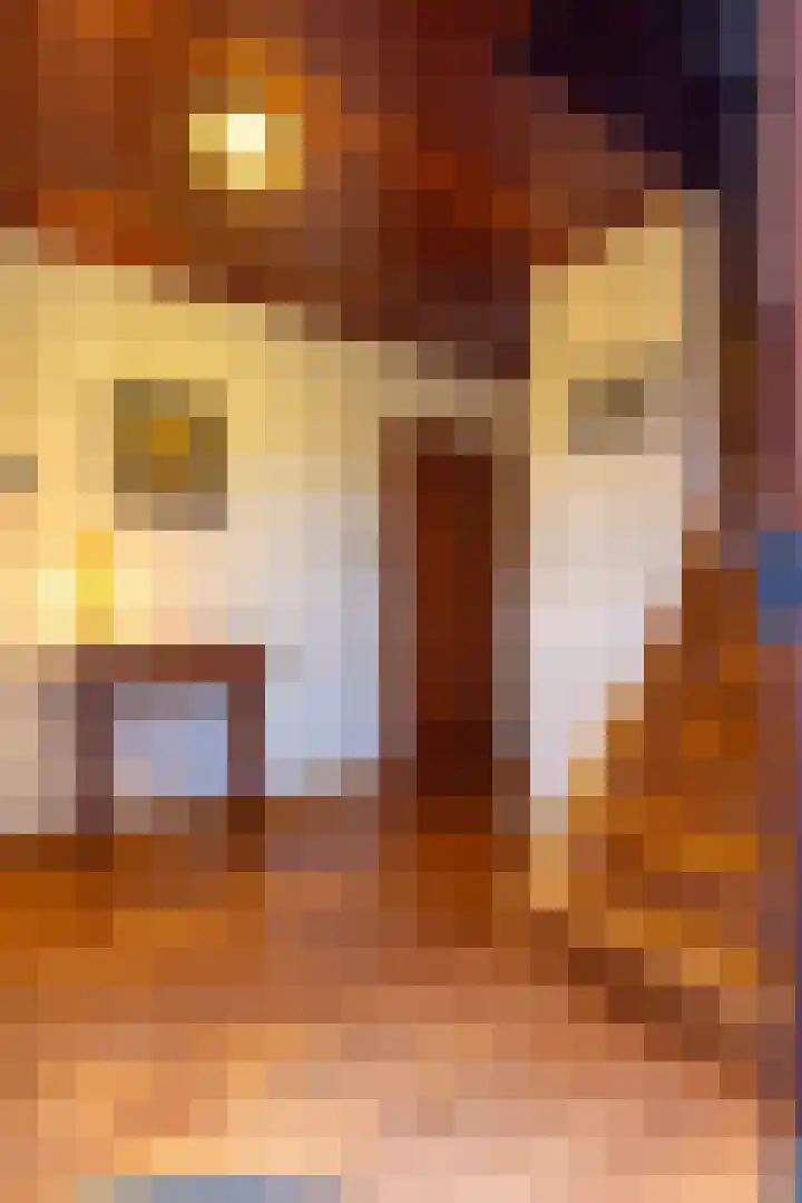 Rietbeek 3 Geleen thumbnail 4