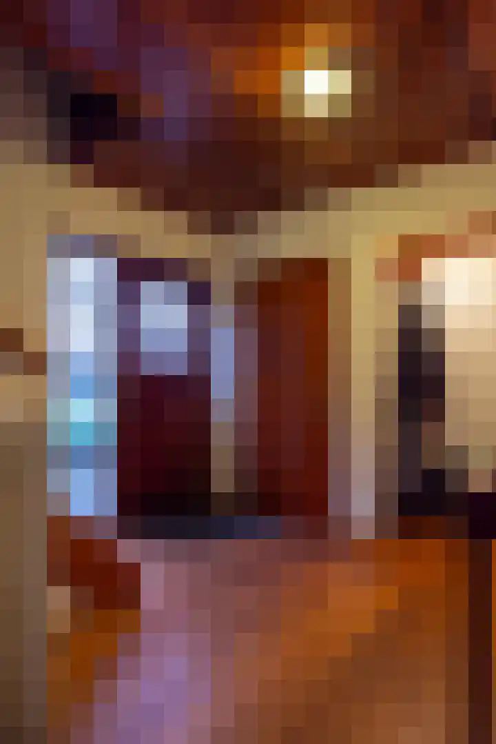 Rietbeek 3 Geleen thumbnail 5