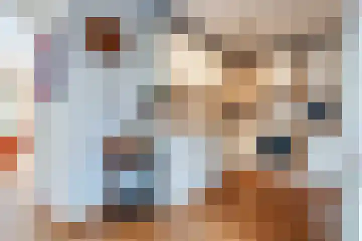 Rietbeek 32 Zwartsluis thumbnail 15