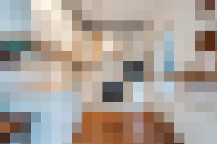 Rietbeek 32 Zwartsluis thumbnail 16