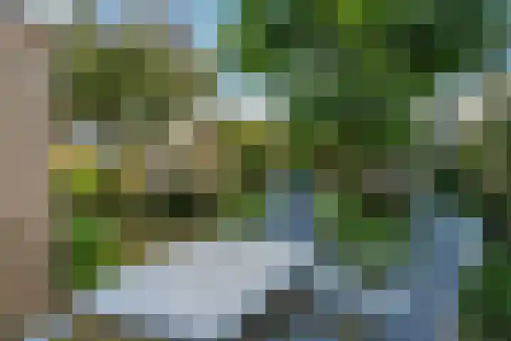 Rietbeek 32 Zwartsluis thumbnail 20