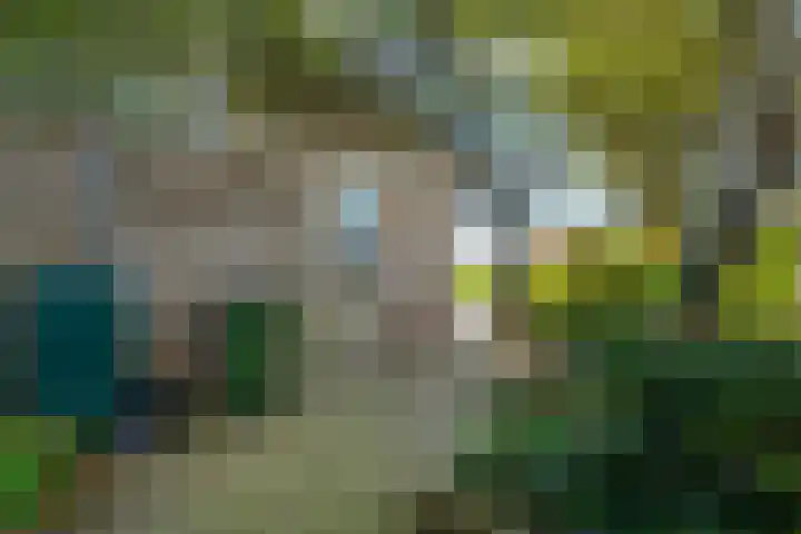 Rietbeek 32 Zwartsluis thumbnail 22