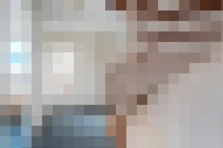 Rietbeek 32 Zwartsluis thumbnail 23