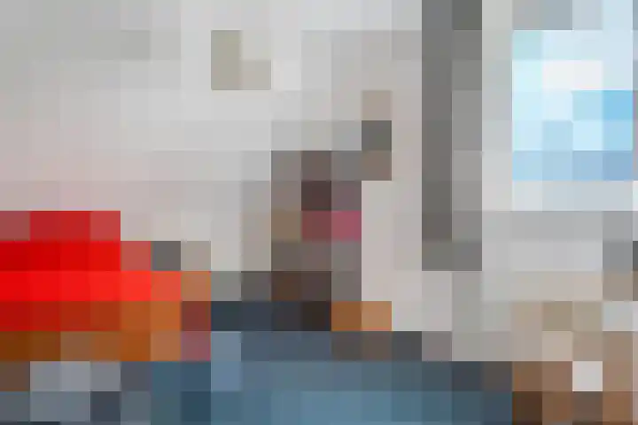 Rietbeek 32 Zwartsluis thumbnail 30