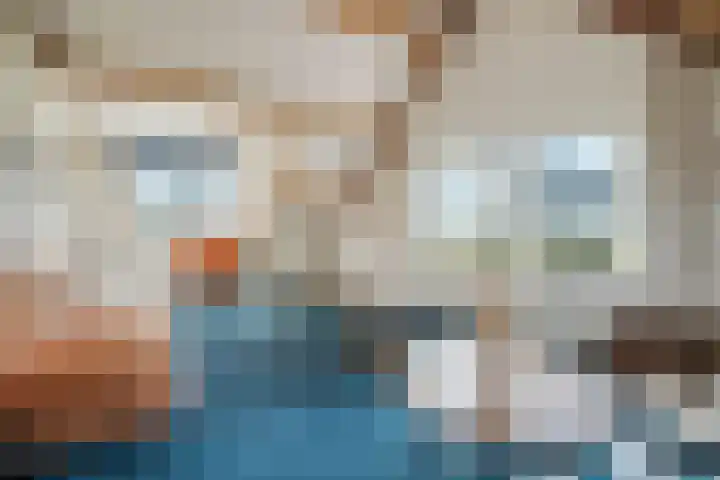 Rietbeek 32 Zwartsluis thumbnail 32