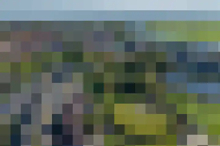 Rietbeek 32 Zwartsluis thumbnail 34