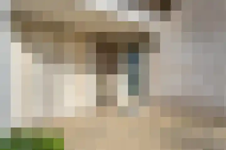 Rietbeek 32 Zwartsluis thumbnail 5