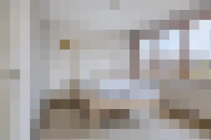 Rietbeek 36 Veldhoven thumbnail 24