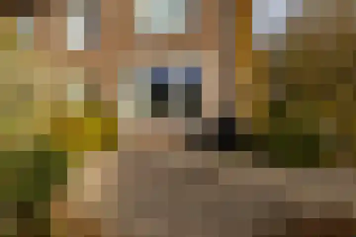 Rietbeek 36 Veldhoven thumbnail 28