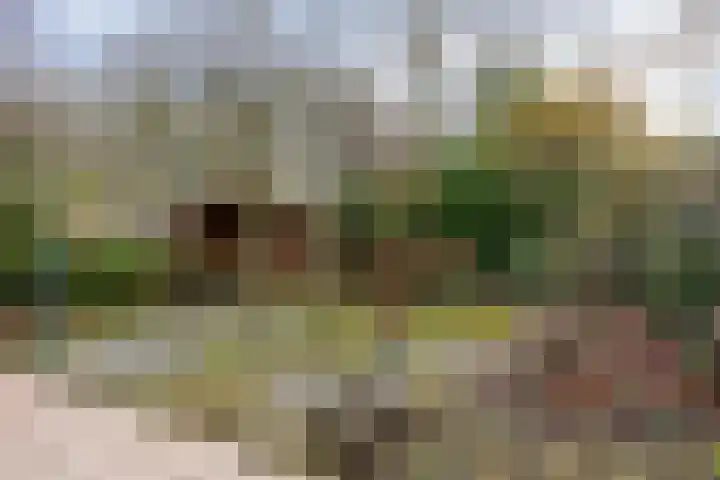 Rietbeek 36 Veldhoven thumbnail 33