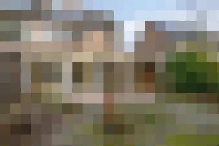 Rietbeek 36 Veldhoven thumbnail 34