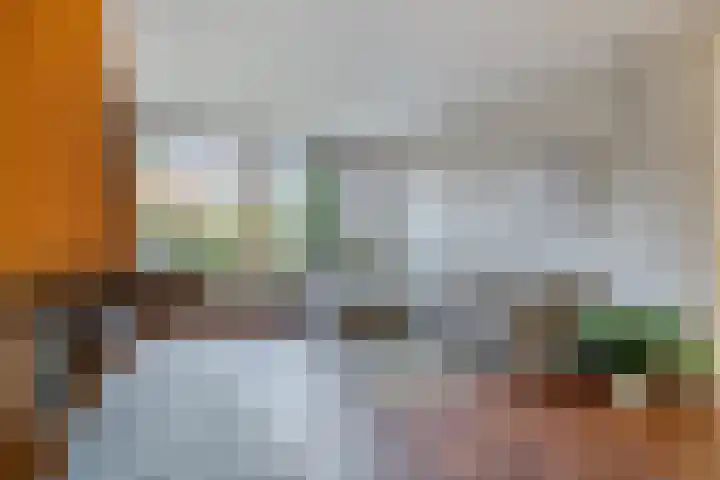 Rietbeek 36 Veldhoven thumbnail 6
