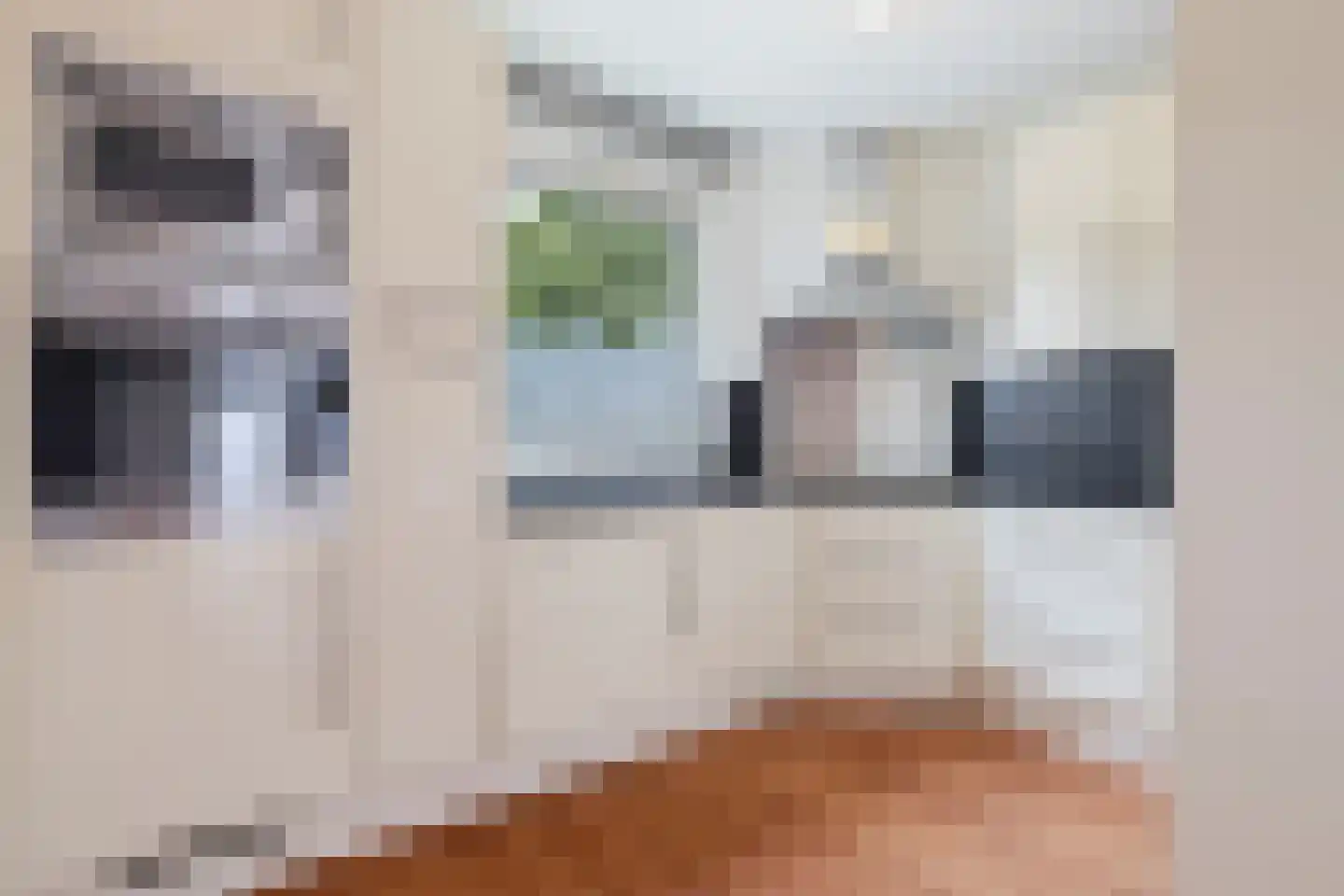 Rietbeek 38 Geleen thumbnail 13