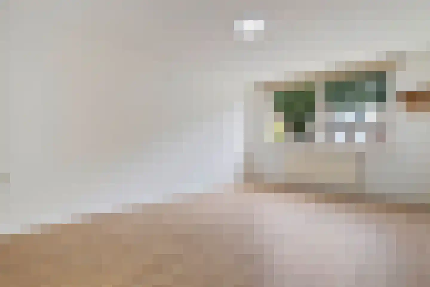 Rietbeek 38 Geleen thumbnail 21